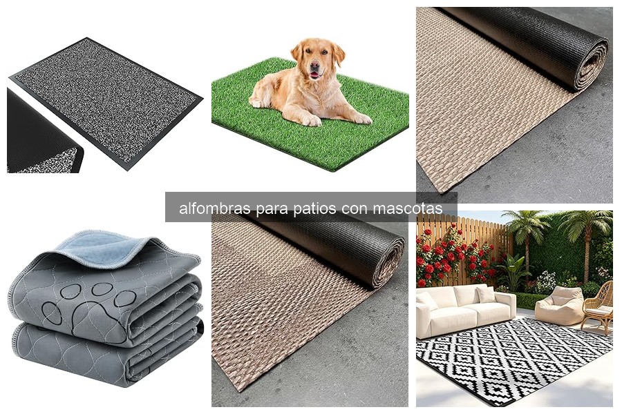 Cómo elegir alfombras para patios resistentes a mascotas